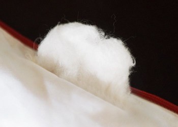 棉絮简介
