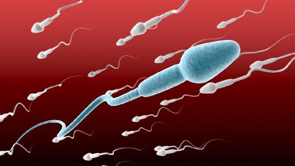 男人精子可以美容养颜吗