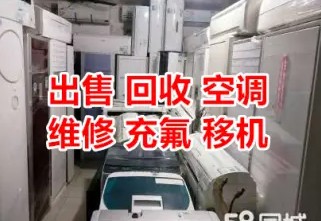 店主头像