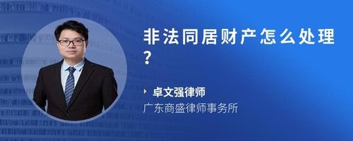 非法同居财产怎么处理？