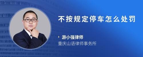 不按规定停车怎么处罚