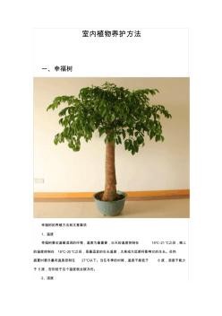 室内植物养护