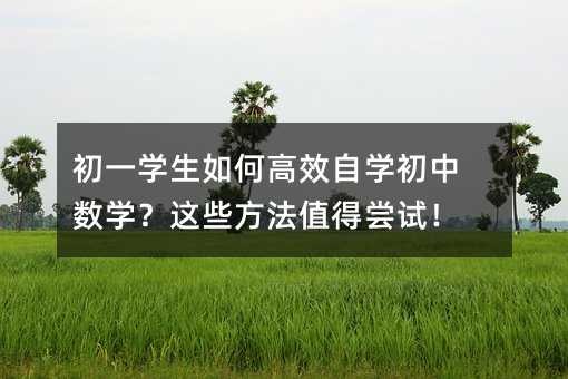 初一学生如何高效自学初中数学？这些方法值得尝试！