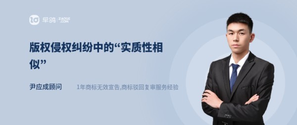 版权侵权纠纷中的“实质性相似”