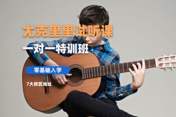 北京大象吉他俱乐部北京尤克里里系统培训课程图片
