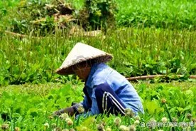 人到中年才能体会到的生活感悟文案，成年人的催泪短句说说，扎心图片