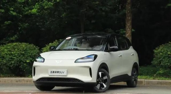 2024年六大热门新能源汽车，哪款是你的心动之选-有驾