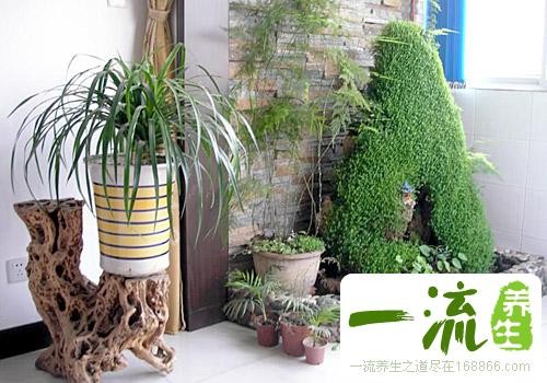 上班族如何预防办公室污染