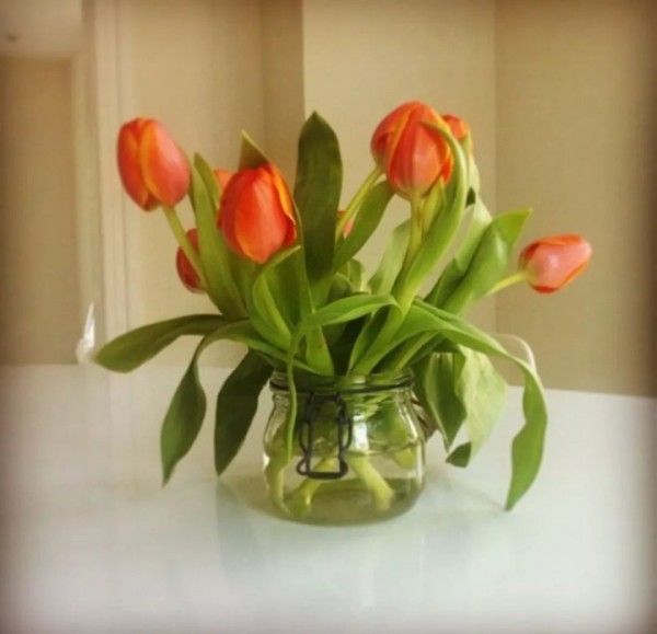 http://image1.hipu.com/image.php?url=0KvZzuoOzl