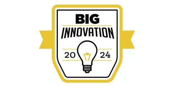 2024 BIG Award logo 