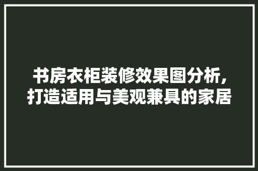 书房衣柜装修效果图分析,打造适用与美观兼具的家居空间 装修工程