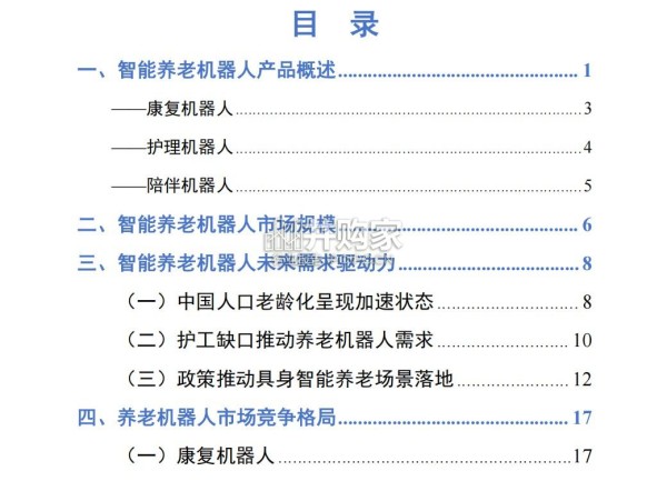 养老机器人行业研究报告（41页）