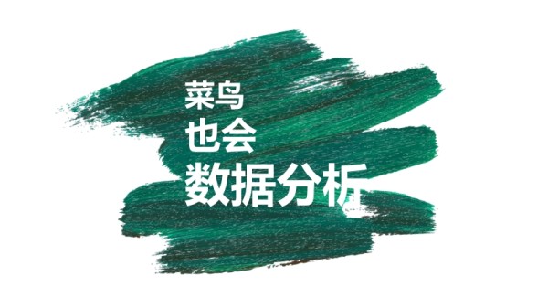 菜鸟也会数据分析.ppt_第1页