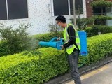 上海虹口就近上门杀虫-杀虫灭鼠诚信服务