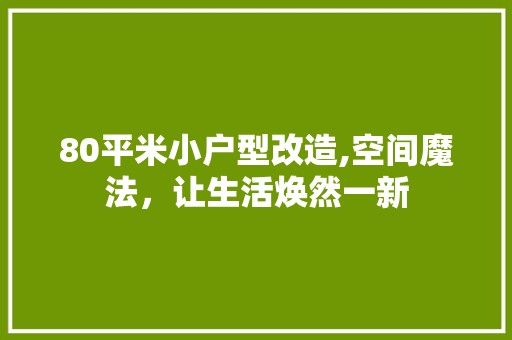80平米小户型改造,空间魔法，让生活焕然一新 复古