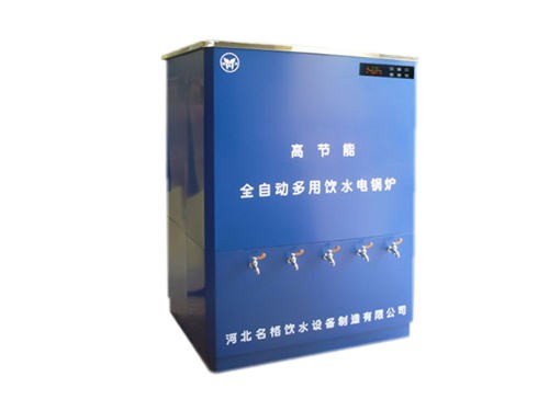 1000L电锅炉