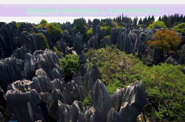 新云南旅游攻略：如何巧妙地节省开支，让你的旅程更加经济实惠！