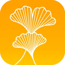 银杏家app