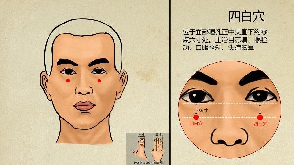 中医节气养生与健康管理