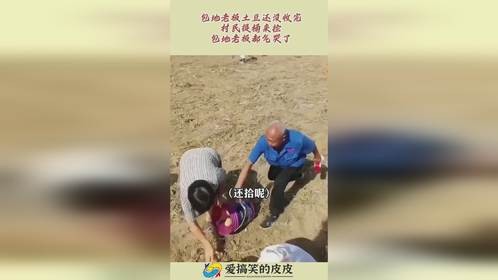 包地老板土豆还没收完，村民提桶来捡，包地老板都气哭了！