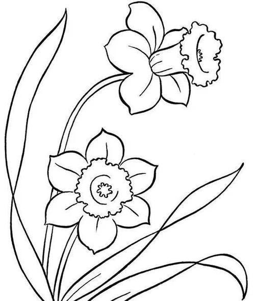 鱼的纹样画画简笔画