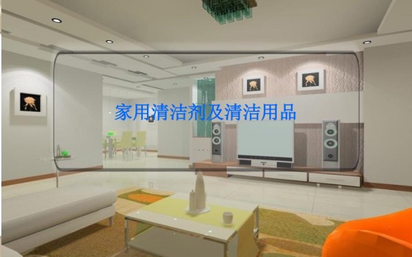 关于酒店客房和家庭不同的清洁用品ppt课件_第3页