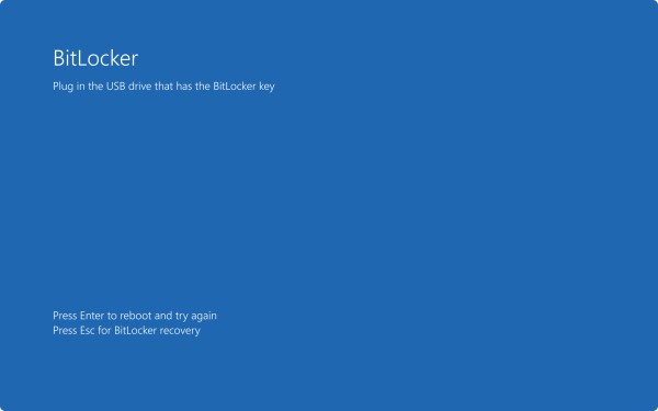 BitLocker 预启动屏幕的屏幕截图，提示输入启动密钥。