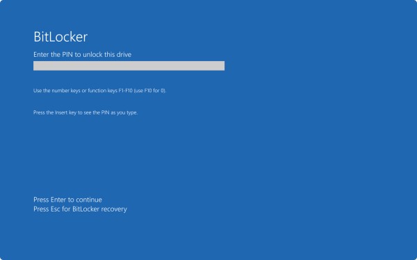 BitLocker 预启动屏幕的屏幕截图，提示输入 PIN。