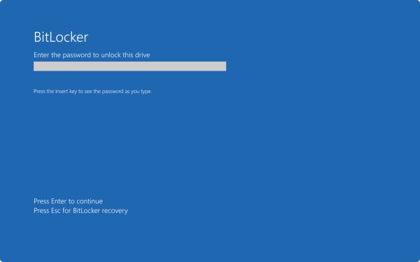 BitLocker 预启动屏幕的屏幕截图，提示输入密码。