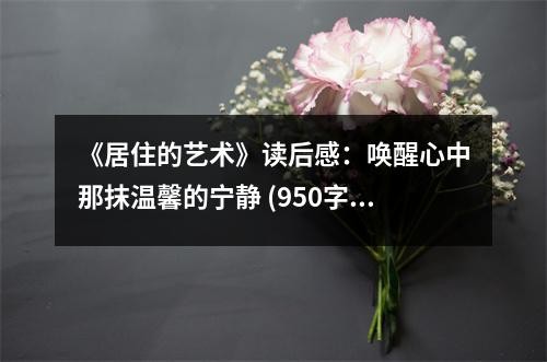 《居住的艺术》读后感:唤醒心中那抹温馨的宁静 (950字)