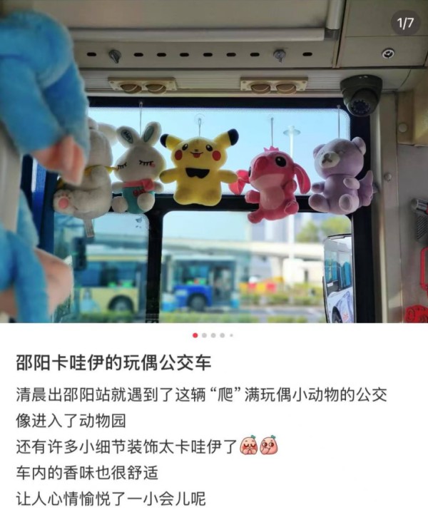 挂满绿萝和玩偶,邵阳司机大姐自费900元装饰公交:工作环境也可以像家一样舒适温馨