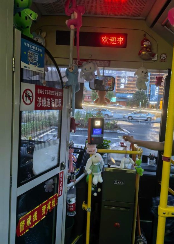 挂满绿萝和玩偶,邵阳司机大姐自费900元装饰公交:工作环境也可以像家一样舒适温馨