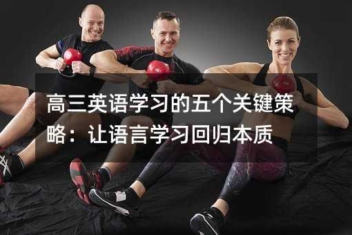 高三英语学习的五个关键策略:让语言学习回归本质