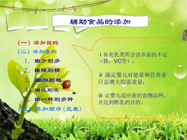 小儿营养辅食添加_第3页