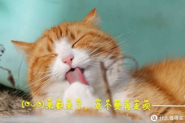 549b430f335ee9aa092229cd7f1ee9b1.png