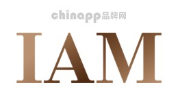空气净化器十大品牌-IAM