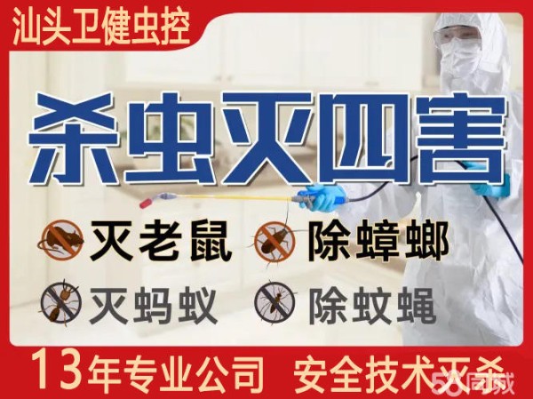 店主头像