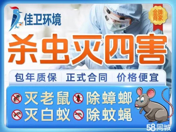 店主头像