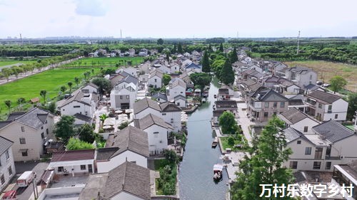 乡村美丽宜居环境打造策略：提升生活质量与可持续发展