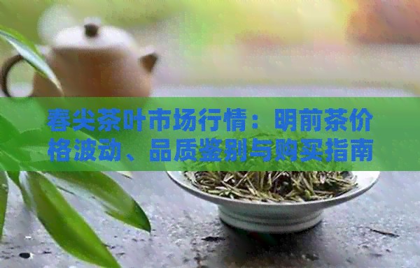 春尖茶叶市场行情：明前茶价格波动、品质鉴别与购买指南
