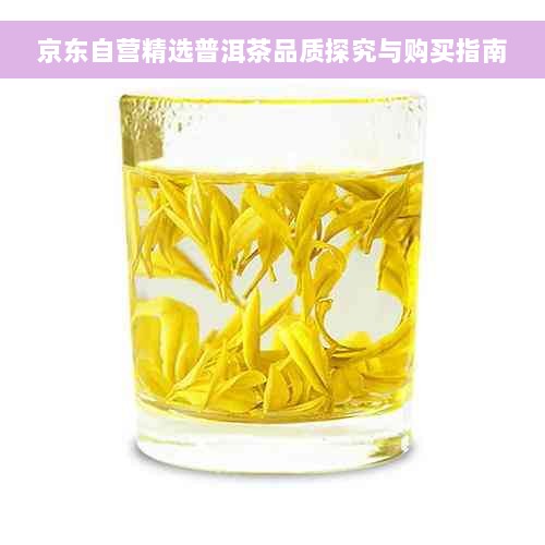京东自营精选普洱茶品质探究与购买指南