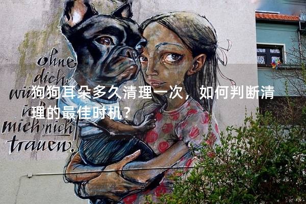 狗狗耳朵多久清理一次，如何判断清理的最佳时机？