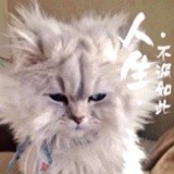 落花有意