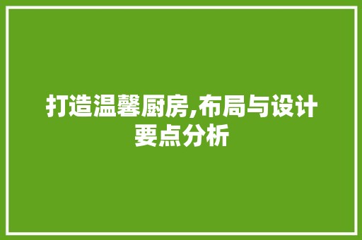 打造温馨厨房,布局与设计要点分析
