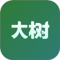 大树菜谱