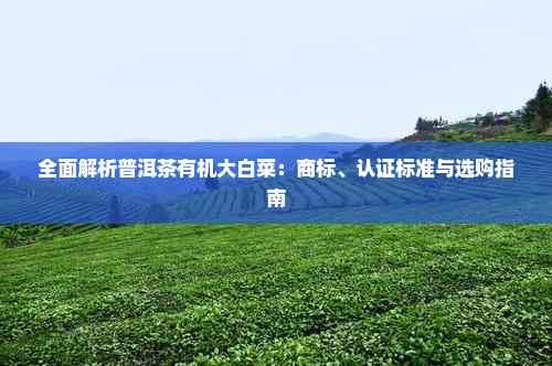 全面解析普洱茶有机大白菜：商标、认证标准与选购指南
