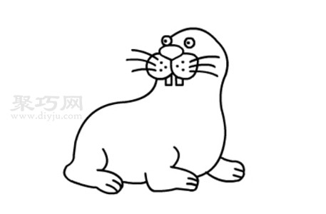 怎么画海狮？一起来学海狮简笔画