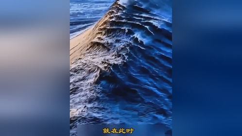 每日震撼原创视频推荐，不容错过的精彩更新！