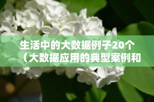 生活中的大数据例子20个（大数据应用的典型案例和分析）