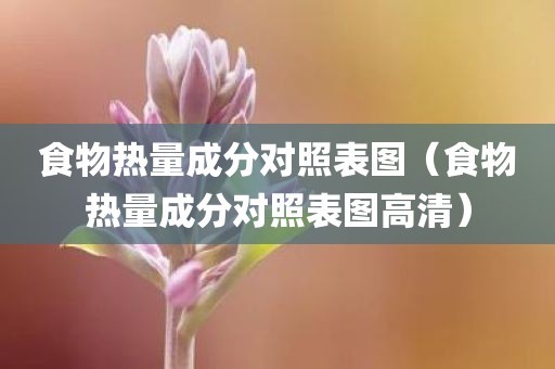食物热量成分对照表图（食物热量成分对照表图高清）
